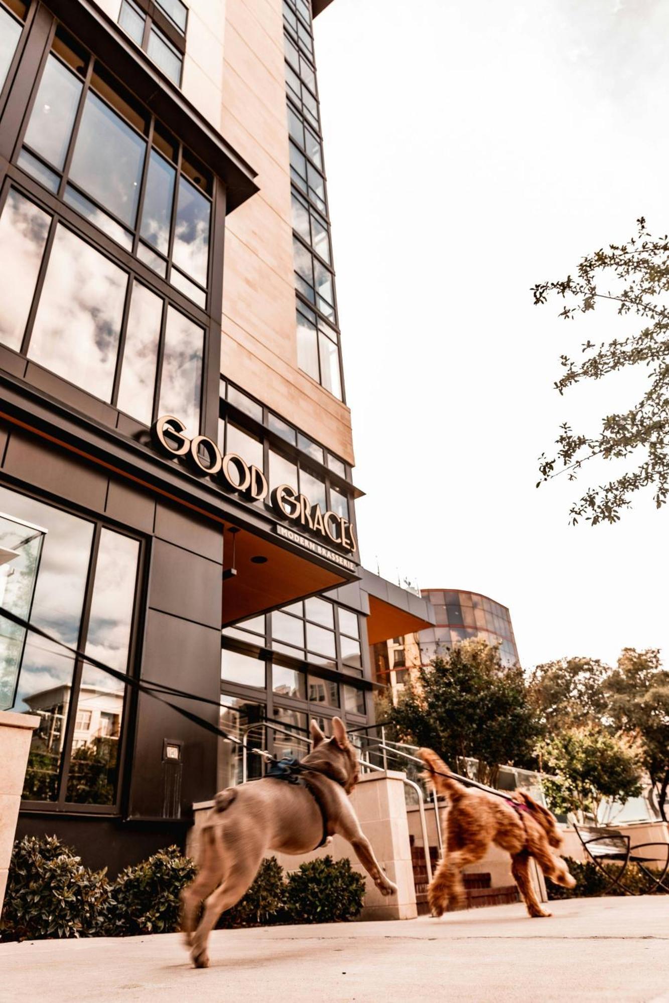 Marriott Dallas Uptown Exterior photo
